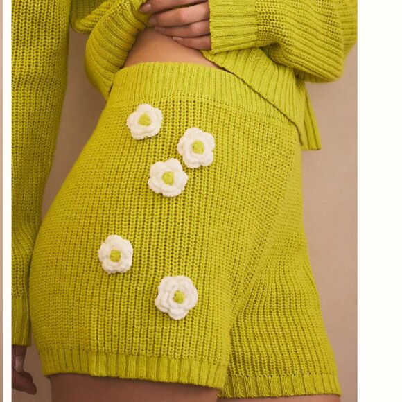 Brand New Flat White for Anthropologie Crochet Flower Shorts - Picture 3 of 6